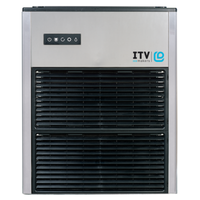 IIM-IQ N 900_ITV Ice Makers